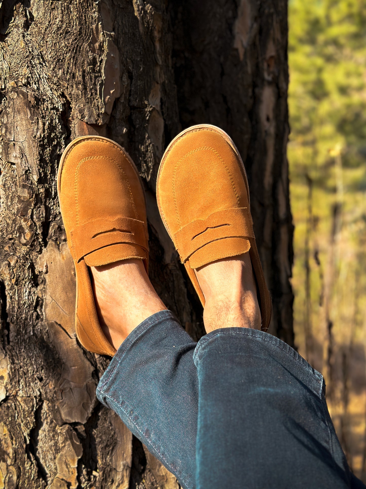 Chandigarh Penny Loafer Men